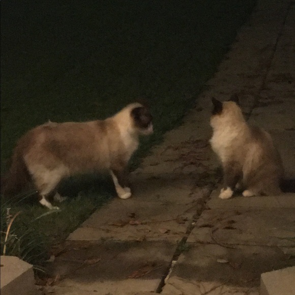 Happiness - Picture 2 of 8